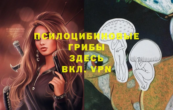 соль ск Балахна