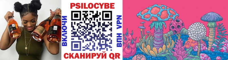 Псилоцибиновые грибы Psilocybine cubensis  Белозерск 