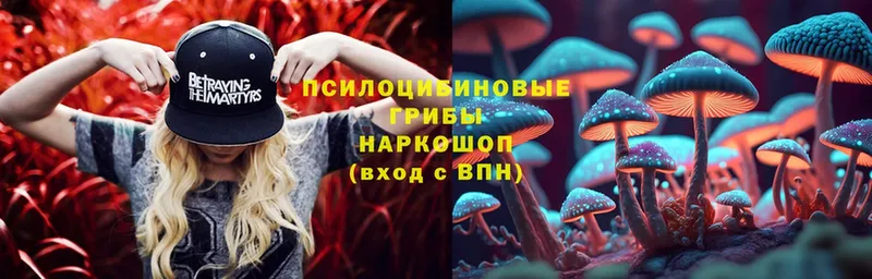 Псилоцибиновые грибы Psilocybe  купить  цена  Белозерск 